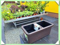 Truhlík XXL maxi Berberis Duo /doprodej/ (kliknout pro zvětšení) Truhlík XXL maxi Berberis Duo /doprodej/